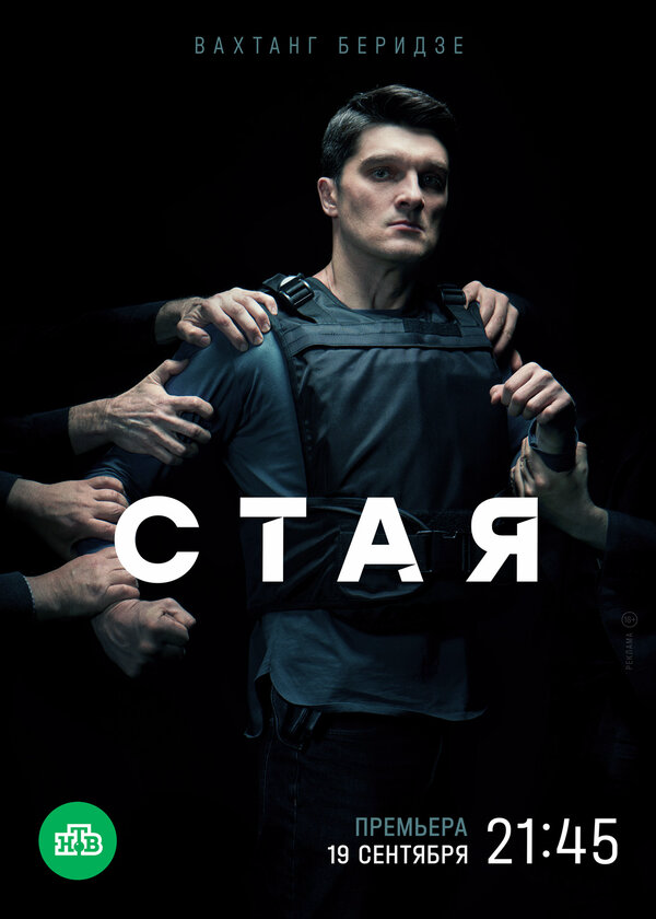 Стая 2022 постер